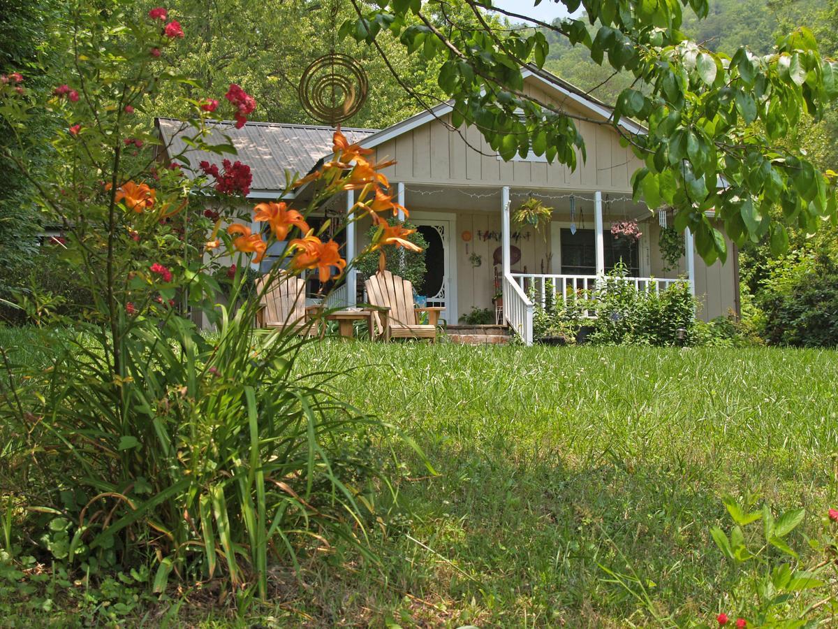 Henson Cove Place Bed And Breakfast W/Cabin 히와세이 외부 사진