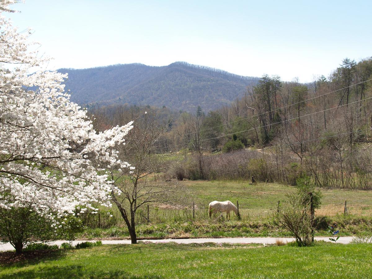 Henson Cove Place Bed And Breakfast W/Cabin 히와세이 외부 사진