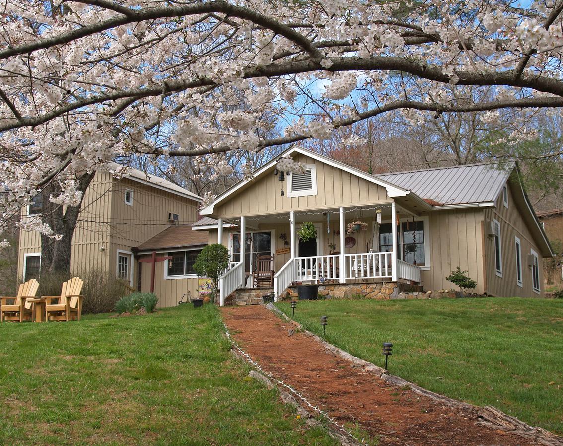 Henson Cove Place Bed And Breakfast W/Cabin 히와세이 외부 사진