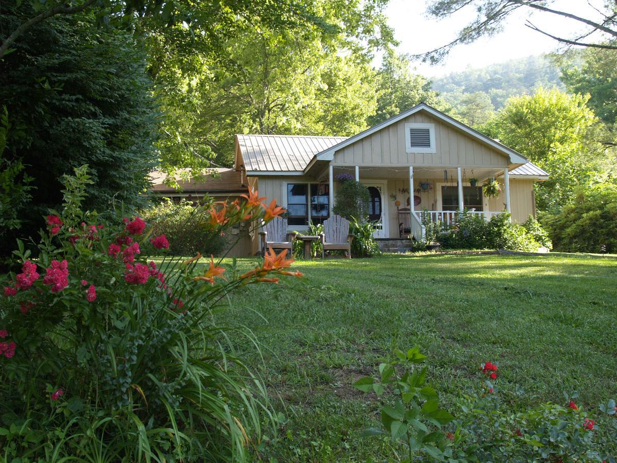 Henson Cove Place Bed And Breakfast W/Cabin 히와세이 외부 사진